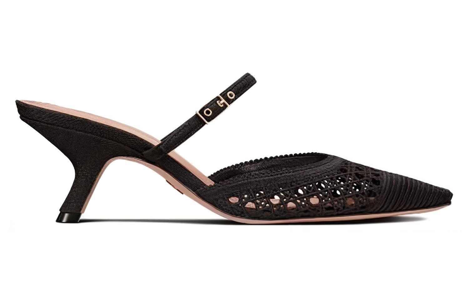 Order (Women) Dior Capture Black 'Pointed Toe Stiletto Mules' KDP927RCE_S900