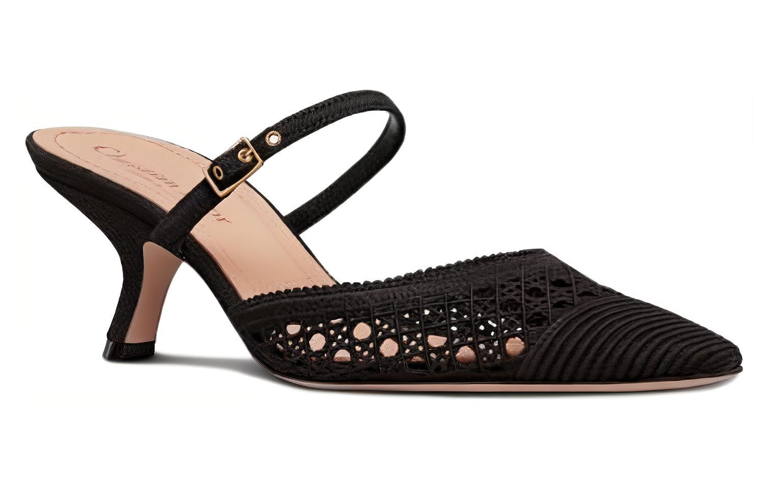 Lookbook (Women) Dior Capture Black 'Pointed Toe Stiletto Mules' KDP927RCE_S900