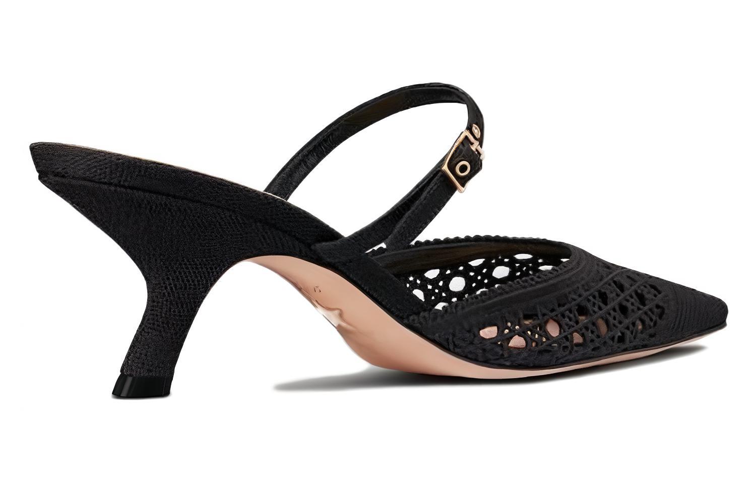 Shop (Women) Dior Capture Black 'Pointed Toe Stiletto Mules' KDP927RCE_S900