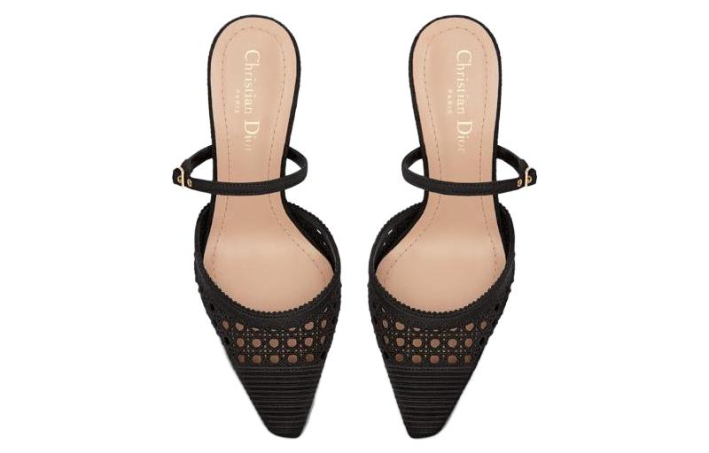 Purchase (Women) Dior Capture Black 'Pointed Toe Stiletto Mules' KDP927RCE_S900