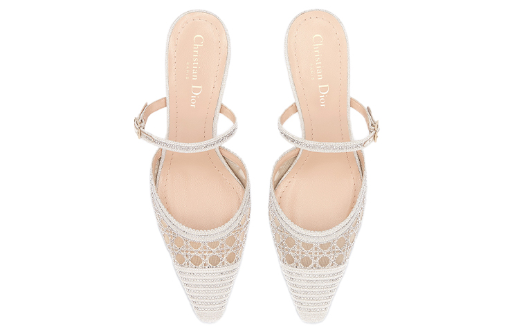 Lookbook (W) Dior Capture Leather Gold ''Fashion Mule Hoge Hakken'' KDP927LCS_S49K