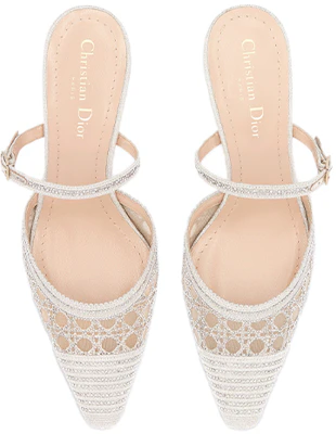 (W) Dior Capture Leather Gold ''Fashion Mule Hoge Hakken'' KDP927LCS_S49K Lookbook (W) Dior Capture Leather Gold ''Fashion Mule Hoge Hakken'' KDP927LCS_S49K