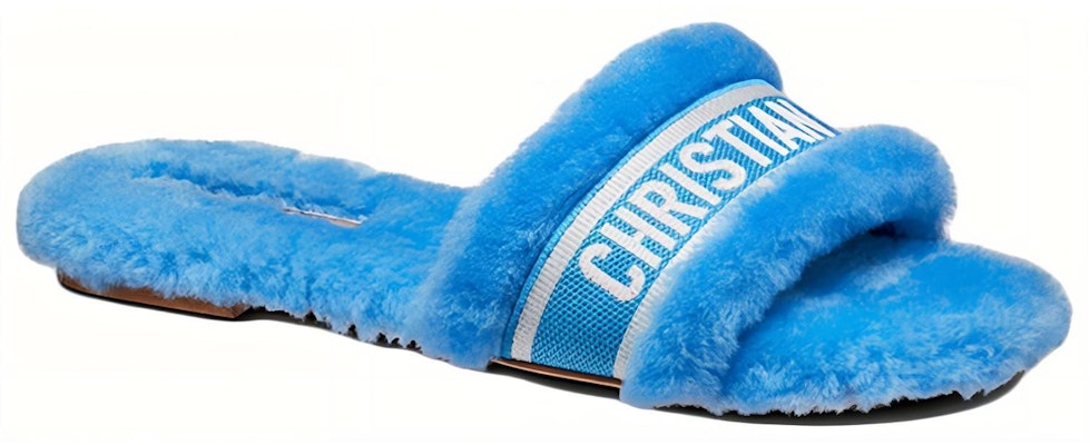(W) Dior Chez Moi Sandal 'Dynamic Blue' KDQ708ESK_S17N Lookbook (W) Dior Chez Moi Sandal 'Dynamic Blue' KDQ708ESK_S17N