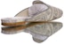 (W) Dior Cotton Toile de Jouy Sulaman Mule 'Kelabu' KCB608TJE_S34G