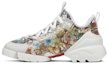 Buy (W) Dior D-Connect 'Multicolor' Zapatillas KCK302ZPN89Z385