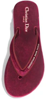 Shop (Women) Dior Diorsea Flat Thong Slide 'Crimson' KCQ870VEV_S23R