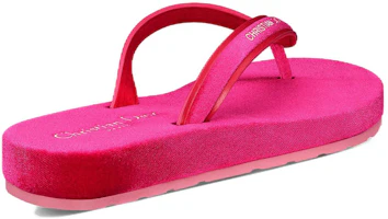 Shop (Women) Dior Diorsea Thong Flat Sandals 'Pink Fashion' KCQ870VEV_S65P