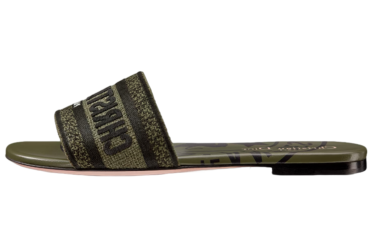 (W) Dior Dway Canvas 'Embroidered Green'