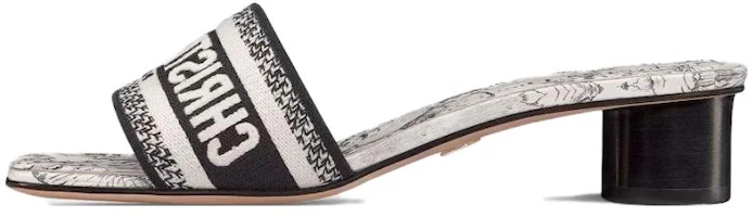 (Women) Dior Dway Embroidered Canvas Heeled Slide 'Black White' KCQ902VOY_S15W (Women) Dior Dway Embroidered Canvas Heeled Slide 'Black White' KCQ902VOY_S15W