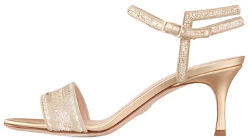 (Women) Dior Dway Embroidered Cotton Slide 'Gold' KCQ706LCS_S62K (Women) Dior Dway Embroidered Cotton Slide 'Gold' KCQ706LCS_S62K