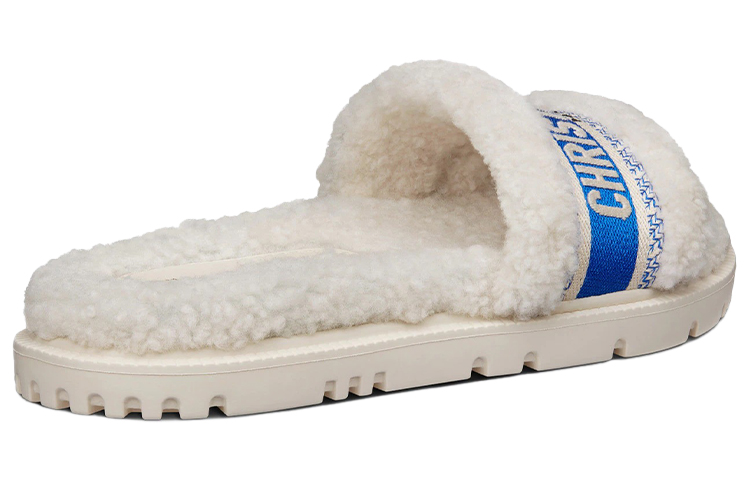 (W) Dior Dway Embroidered Cotton Slide 'Lake Blue' 圖 4