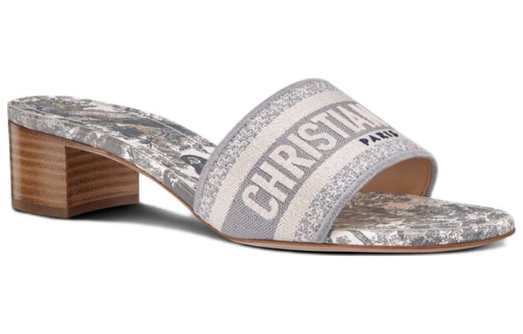 Lookbook DIOR 迪奧 DWAY 高跟涼拖 女款 灰色