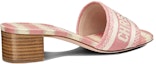 Lookbook (W) Dior Dway Heeled Slide 'Pink' – Selipar Tinggi Bertumit Dior Dway 'Merah Jambu' KCQ244IKE_S34U