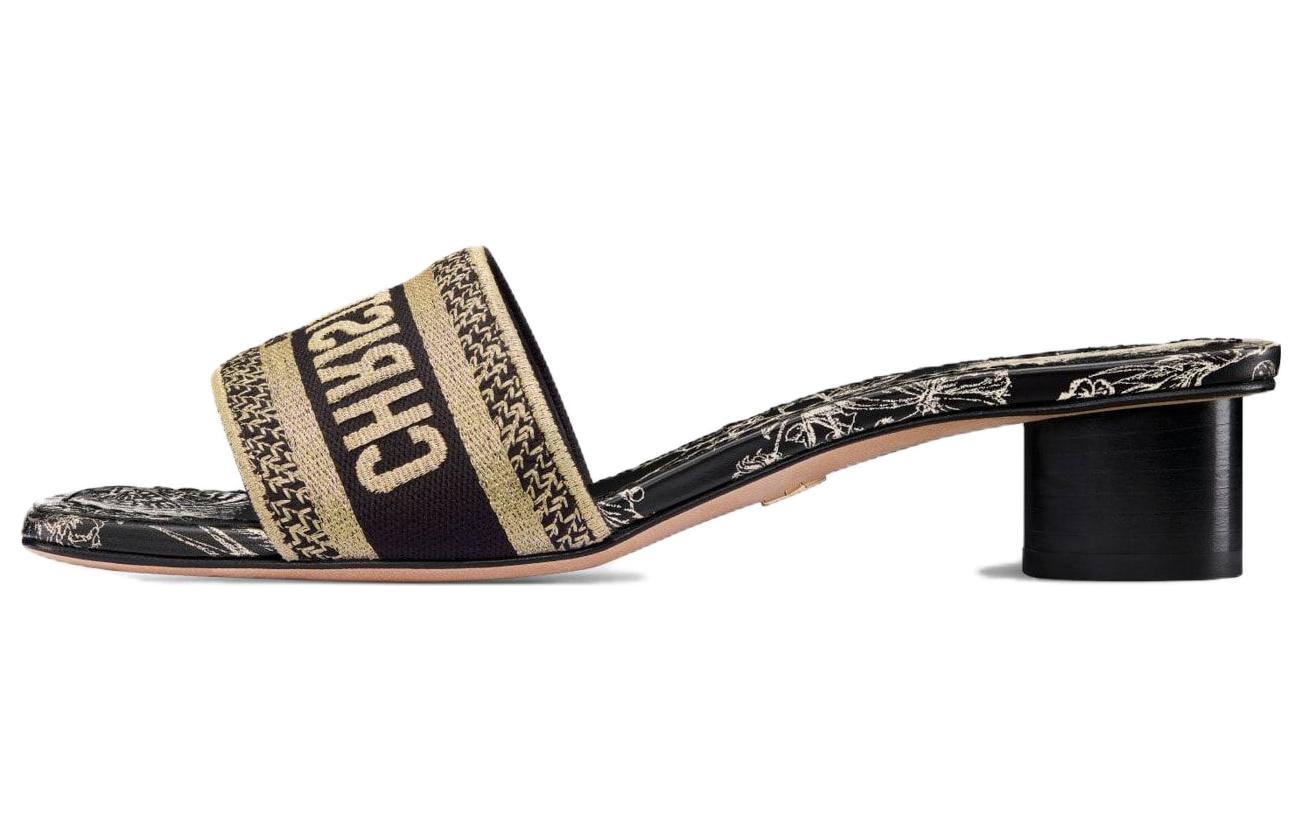 (Women) Dior Dway Slide 'Black' KCQ902ESR_S21X