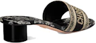 Lookbook (Women) Dior Dway Slide 'Black' KCQ902ESR_S21X