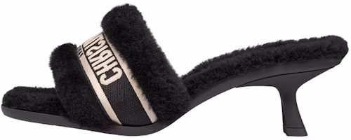 (Women) Dior Dway Slide 'Black Fashion' KDQ745ESK_S11X (Women) Dior Dway Slide 'Black Fashion' KDQ745ESK_S11X
