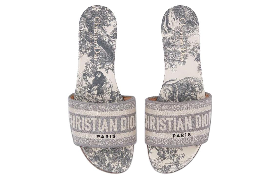 Lookbook (W) 迪奥 Dway 拖鞋 '灰色' KCQ209TJE_S21G