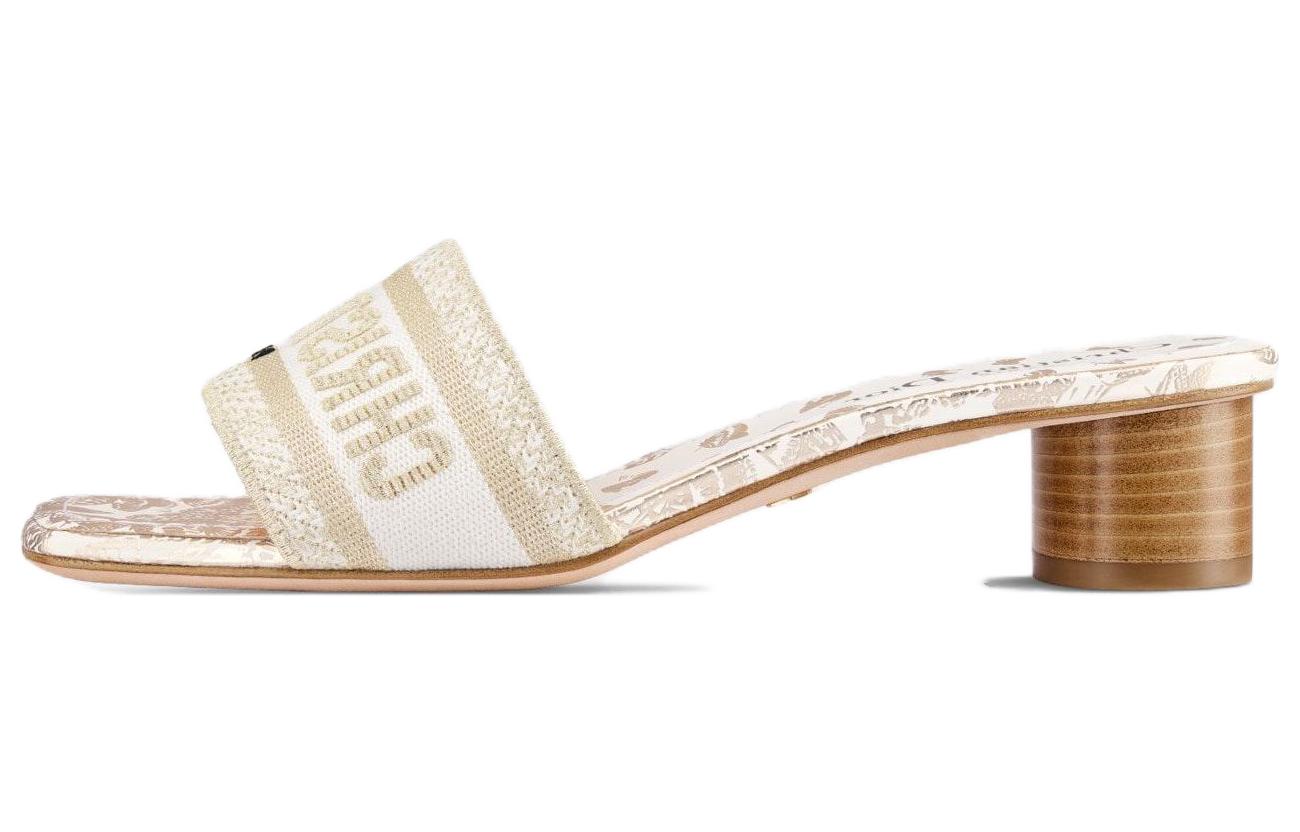 (Women) Dior Dway Slide 'White Gold' KCQ902DLU_S09W