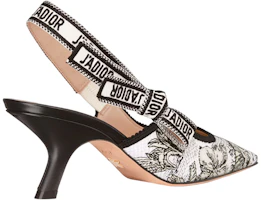 Purchase (W) Dior Sepatu Stiletto Hak 6.5cm Bordir Pita 'Hitam Putih' KDP866VOY_S15W