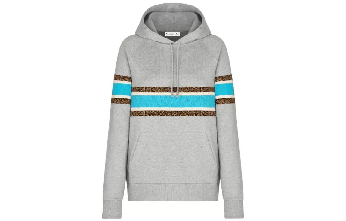 Buy (Women) DIOR FW22  Striped Pullover Hoodie Gray 113S02A4013-X8851
