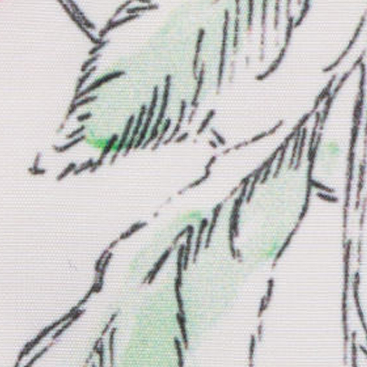 (Women) DIOR FW23  Floral Print Casual Jacket White 357C19A2263-X0834 圖 6