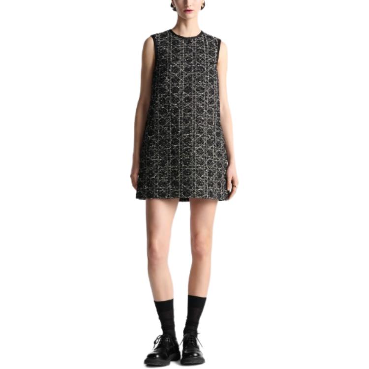 Shop (W) DIOR FW24 多色斜紋布無袖圓領短洋裝 女款 441B53A7795-X9101