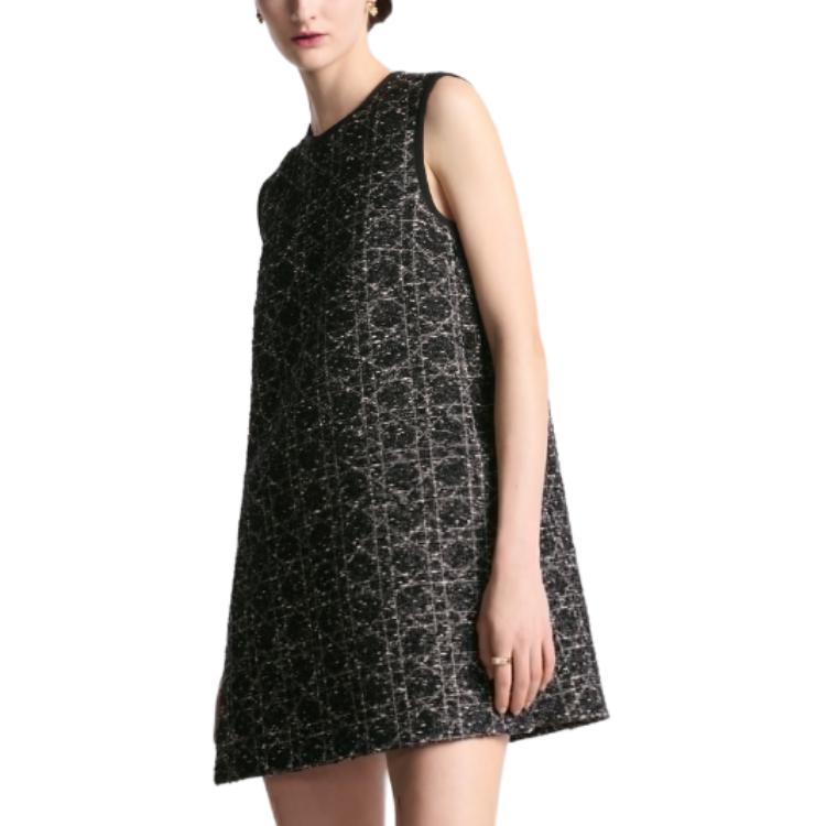 Details for (W) DIOR FW24 多色斜紋布無袖圓領短洋裝 女款 441B53A7795-X9101