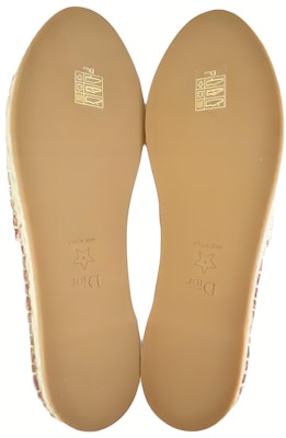 (Women) Dior Granville Espadrille 'Multicolor' KDB585EET_S89Z Purchase (Women) Dior Granville Espadrille 'Multicolor' KDB585EET_S89Z