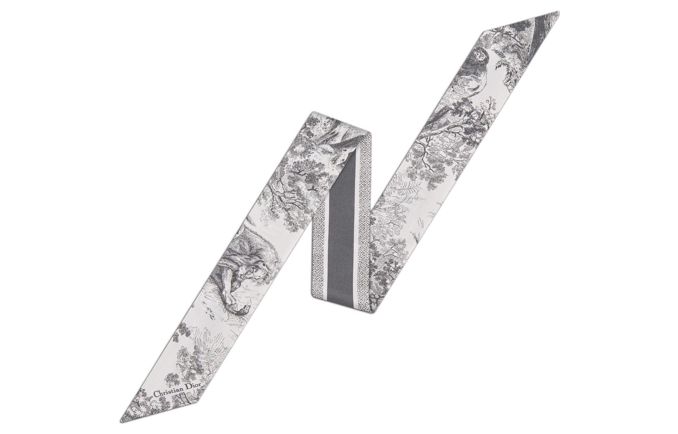 Order (W) ディオール グレーシルクスカーフ ツイルプリントデザイン レディース用. 15JOU106I602-C805