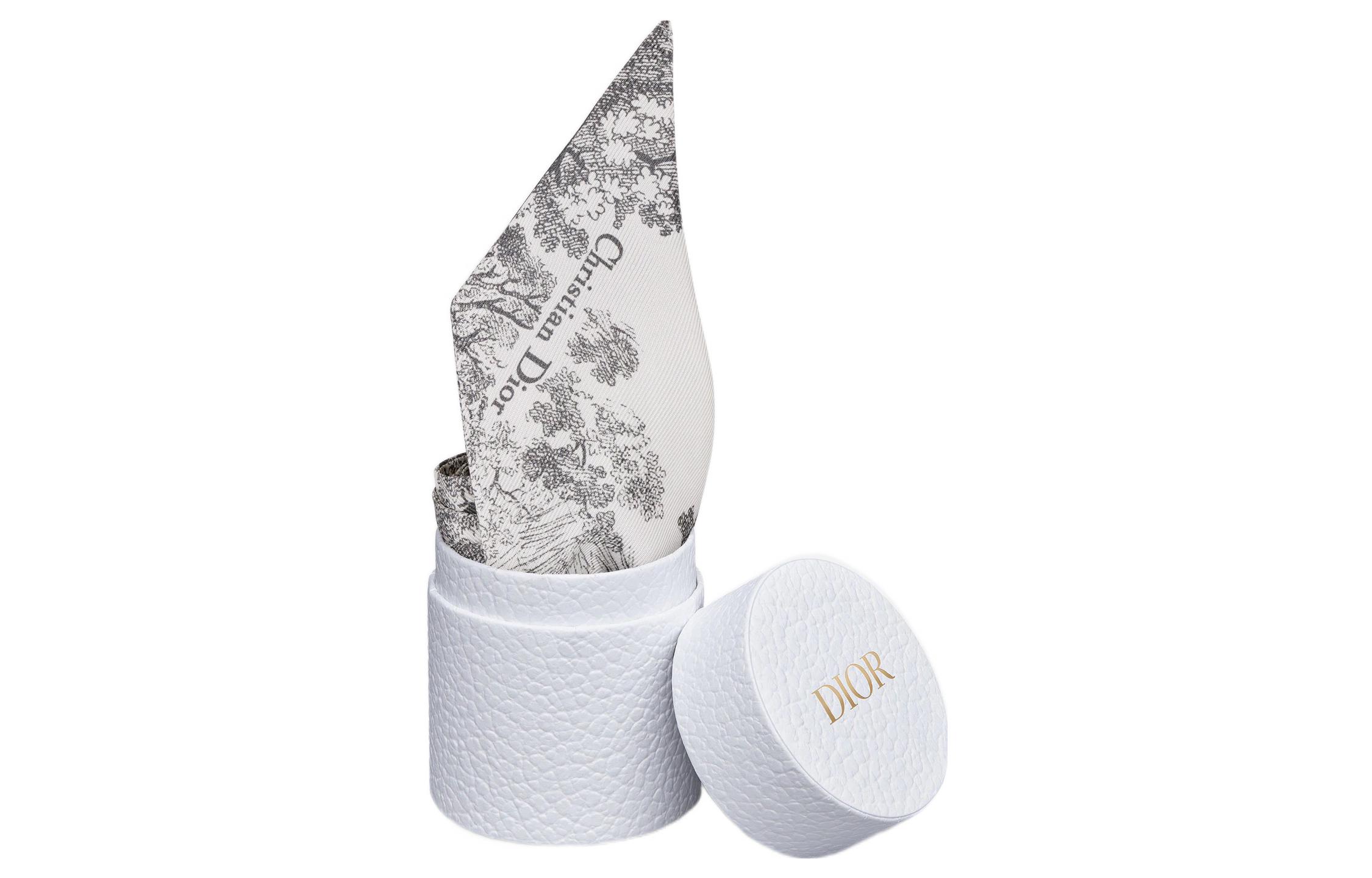 Shop (W) ディオール グレーシルクスカーフ ツイルプリントデザイン レディース用. 15JOU106I602-C805