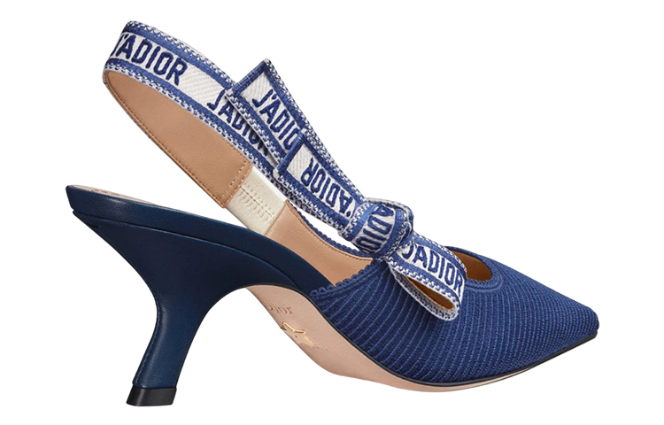 Lookbook (W) 迪奥J'Adior蓝色刺绣高跟凉鞋 KDP866EFR_S88B