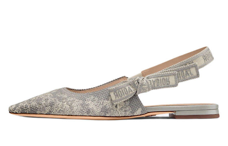 (Women) Dior J'Adior Flat Slingback Sandal 'Grey Embroidery' KCB577TJE_S37W