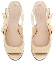 Purchase (W) 迪奥 J'Adior 金色金属刺绣高跟鞋 KDQ481ELF_S71K