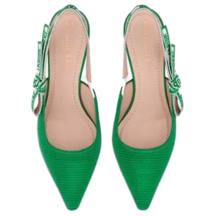 Shop (W) Dior ジャディオール マルチカラー ポインテッドトゥ KDP888MLE_S89Z KCP866EFR_S33H