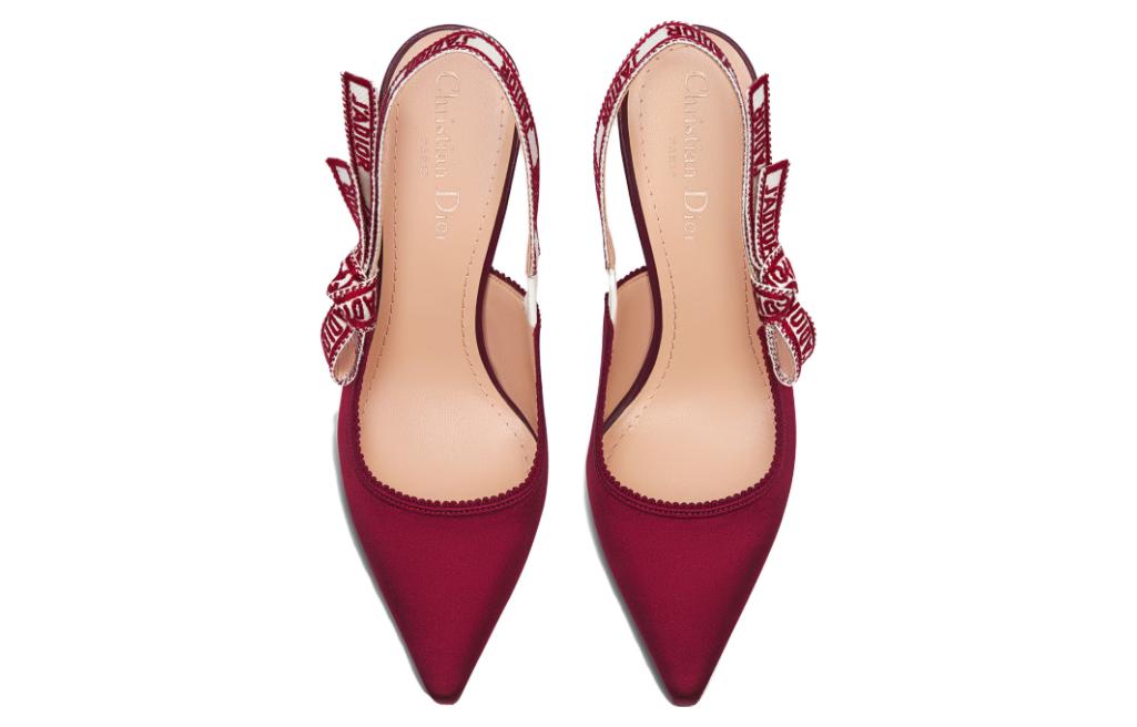 (W) Dior J'Adior Mesh Embroidered Pointed-Toe Slim Heel High Heels 10cm 'Gold' KCP945MLM_S49K 圖 4