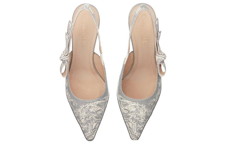 Lookbook (W) Dior J'Adior Tacones Slingback 'Gris' KDP761TJE_S37W