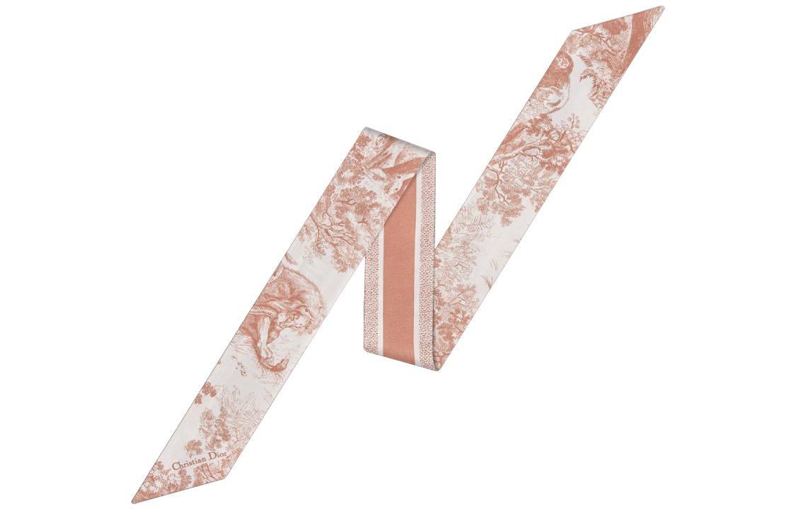 (Women) DIOR Mitzah Classic Print Silk Narrow Scarf for Women. 15JOU106I602-C420 圖 3