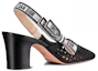 Lookbook (W) Dior MOI x Tacco Aperto Alto ''Nero'' KDP890RCE_S900