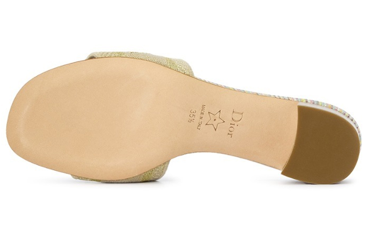 Purchase (Women) Dior Open-Toe Fashion Casual Sandal 'Gold' KCQ244MLU_S72K