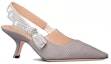 Lookbook (W) Dior Kasut Stiletto Tanpa Tali Kapas 'Kelabu' KCP866EFR_S23G