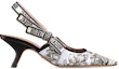 Order (Women) Dior Pointed Toe Slip-On Stiletto 'Black and White' KCP866VOY_S15W