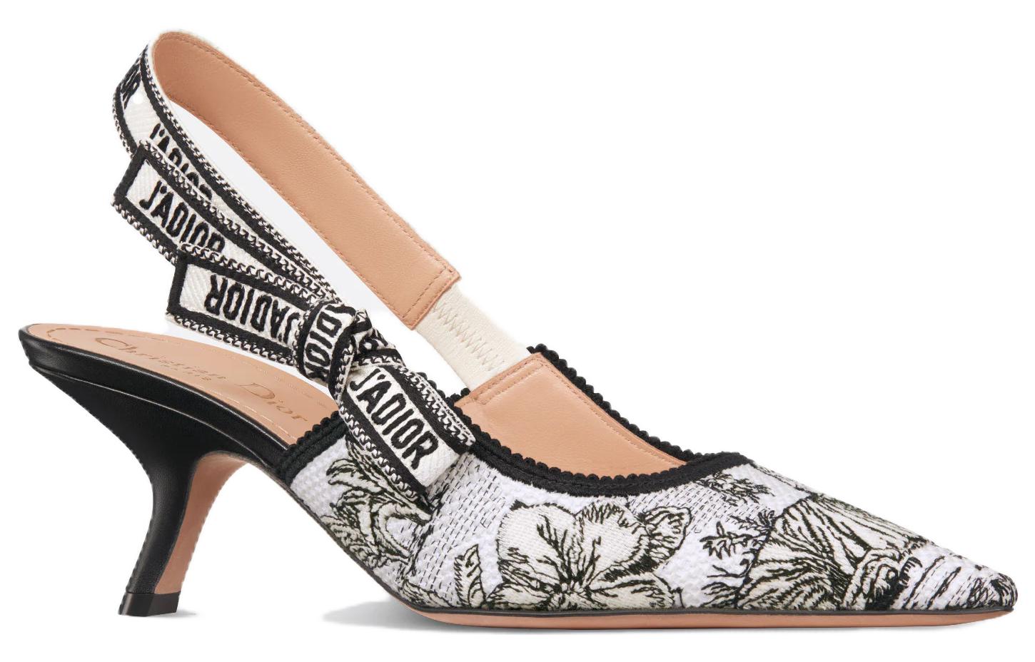 Lookbook (Women) Dior Pointed Toe Slip-On Stiletto 'Black and White' KCP866VOY_S15W