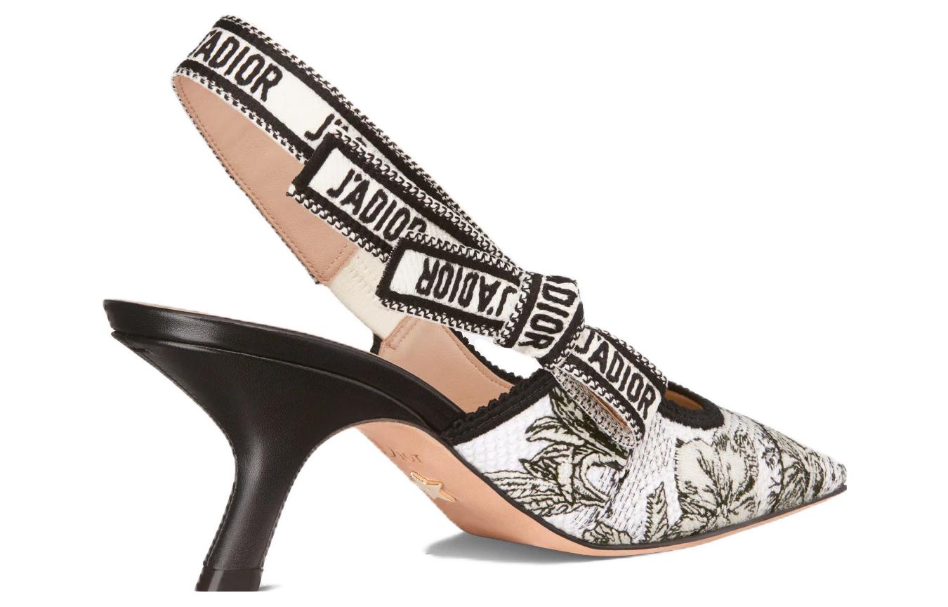 Purchase (Women) Dior Pointed Toe Slip-On Stiletto 'Black and White' KCP866VOY_S15W