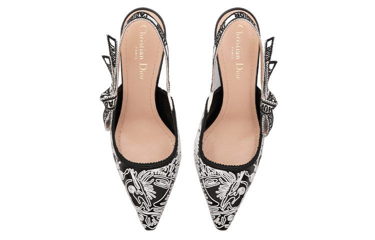 Shop (Women) Dior Pointed Toe Stiletto Mules 'Black and White' KCV024JHC_S17X
