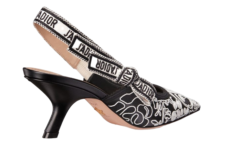 Purchase (Women) Dior Pointed Toe Stiletto Mules 'Black and White' KCV024JHC_S17X