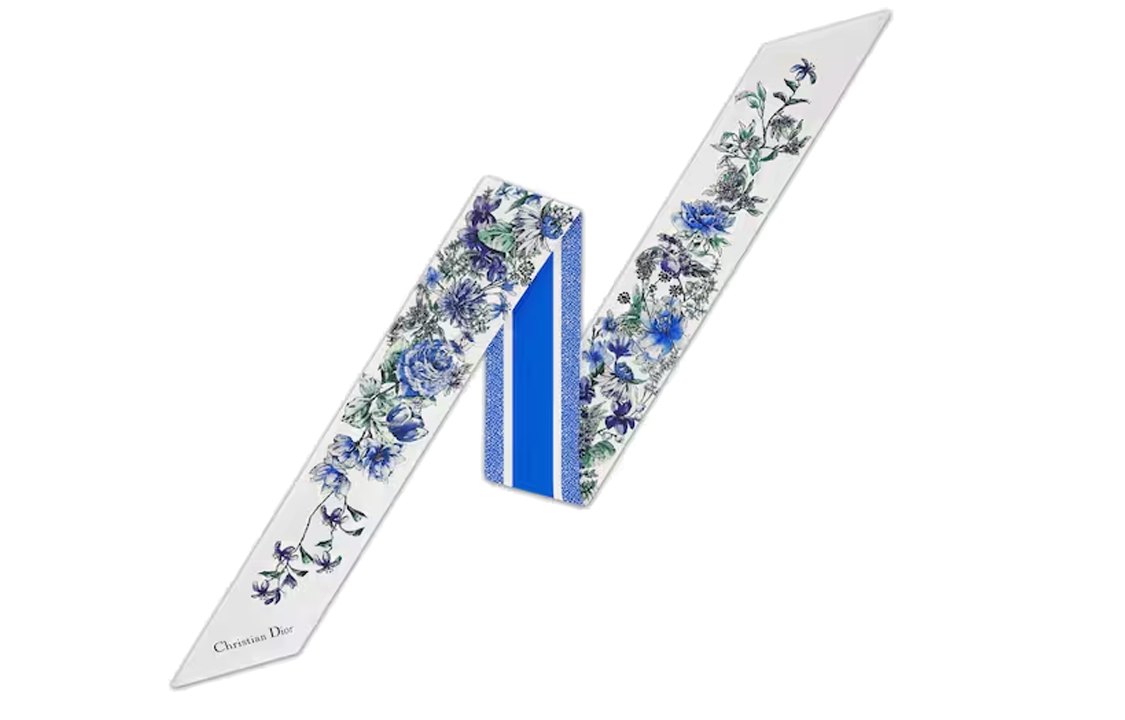 (Women) DIOR Printed Silk Scarf for Women 24FCO106I606-C516