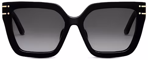 Lookbook (Women) DIOR Signature S10F Cat-Eye Sunglasses SGTS10FXR-10A1