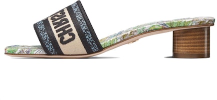 (Women) Dior Slide 'Black Green' KCQ902EVY_S43L (Women) Dior Slide 'Black Green' KCQ902EVY_S43L