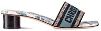 Order (W) Dior Slide Sandale ''Blau'' KCQ902TMX_S60W