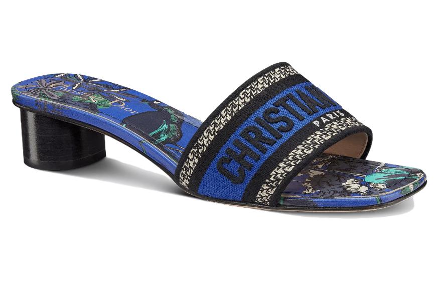 Lookbook (W) 迪奥蓝色拖鞋 KCQ902VOY_21N